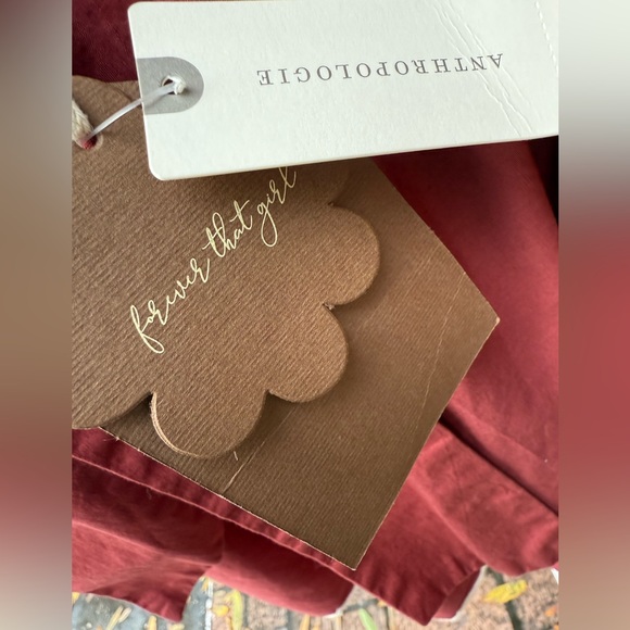 Anthropologie Cut Out Back Rust Dress - Picture 9 of 13